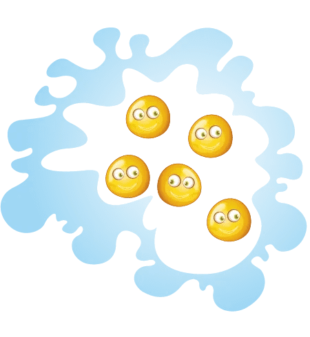 bakterii-3.png