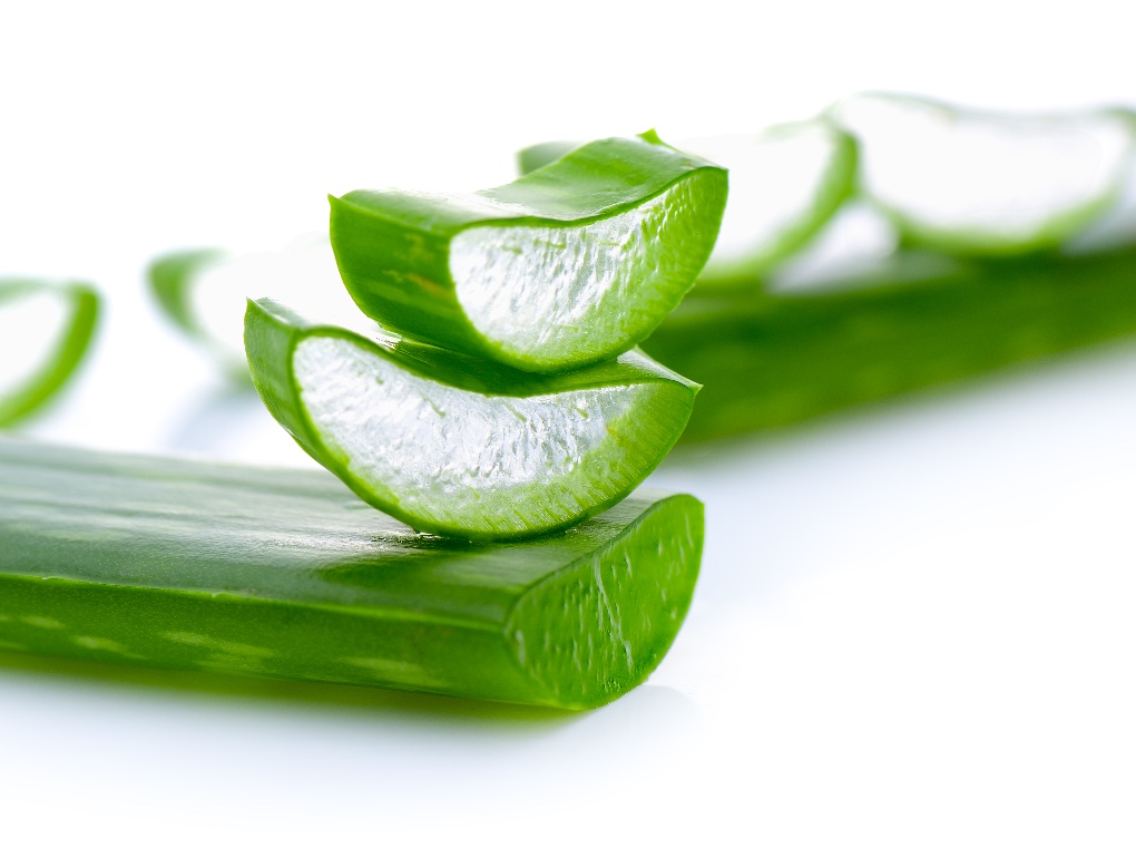 aloe