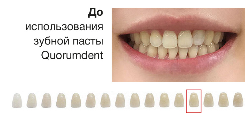до пасты.jpg